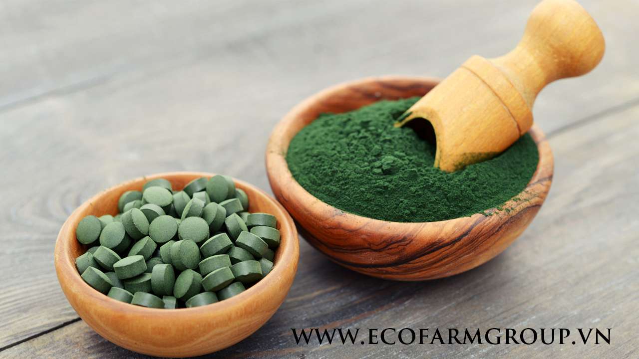 Tảo Xoắn Spirulina: Ngôi Sao Sáng trong Nền Nông Nghiệp Tuần Hoàn